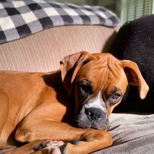 Meet your Posher, Gena